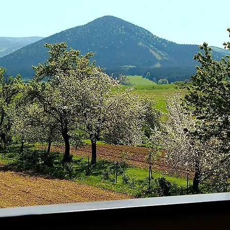 Homestay szállás Dalila